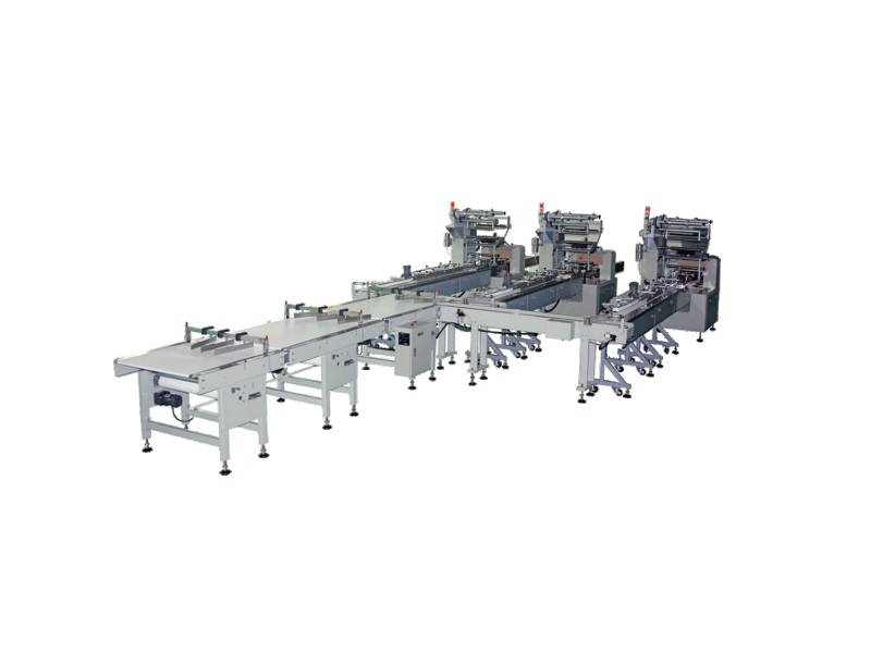 Automatic Cake and Bread Feeding Packing Line.jpg